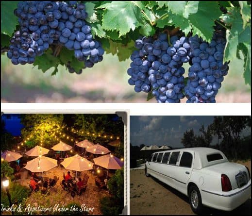 A Great Auction Item is a Texas Wine Country Limo Tour