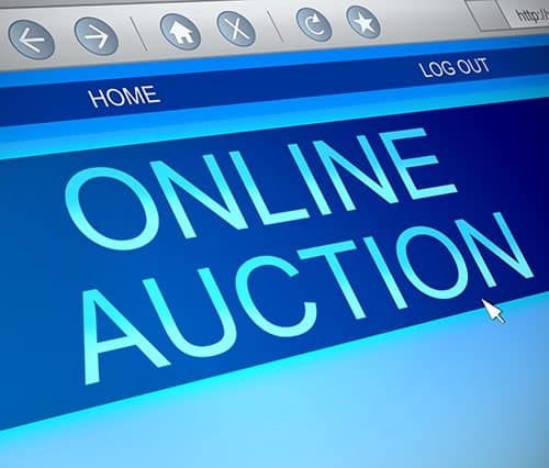 Get Online Auction Ideas