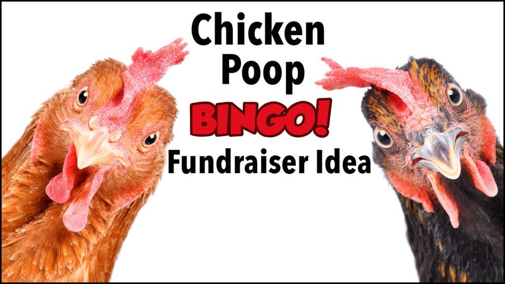 fundraiser idea:chicken poop bingo