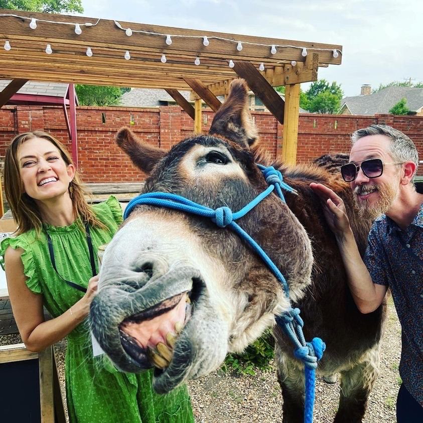 Donkey wine pull fundraiser game