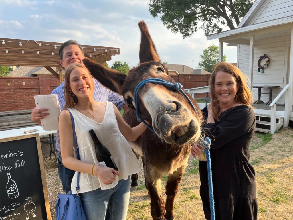 Donkey wine pull 
