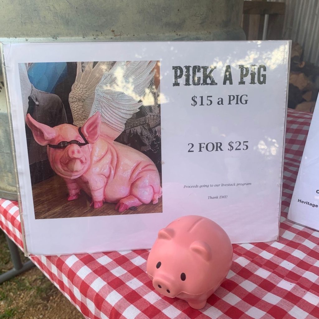 Pick a pig fundraiser