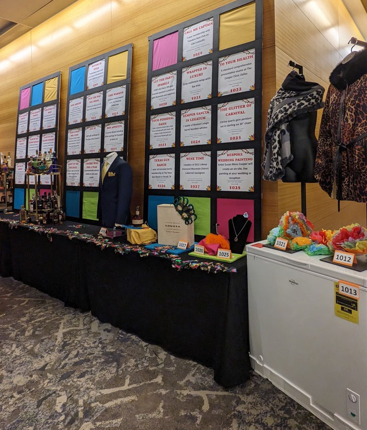 Photo of silent auction display tables.