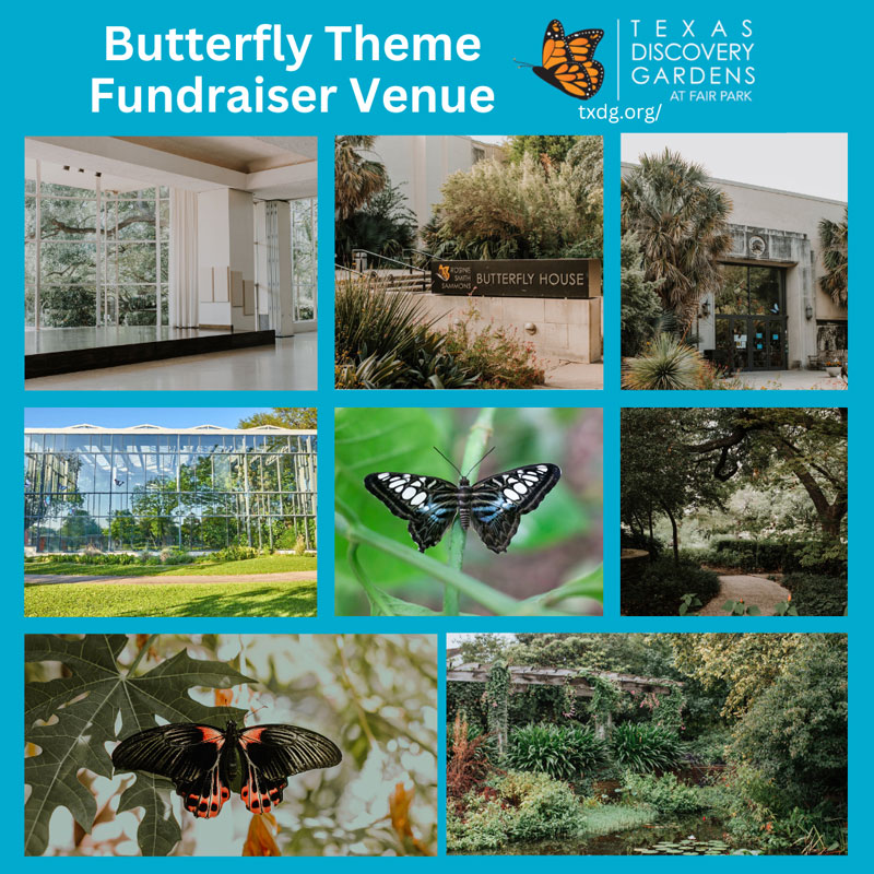 Butterfly Theme Fundraiser Venue
