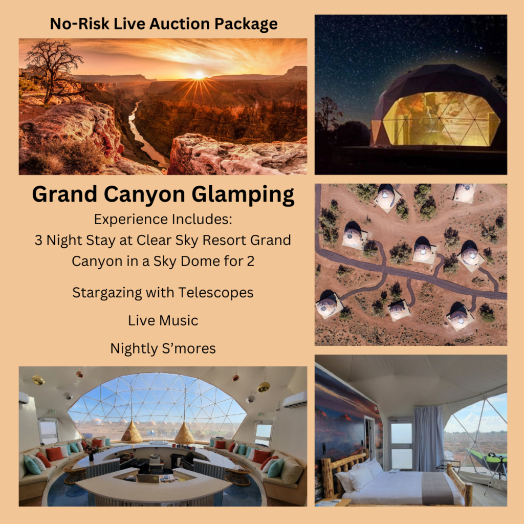 no-risk live auction package