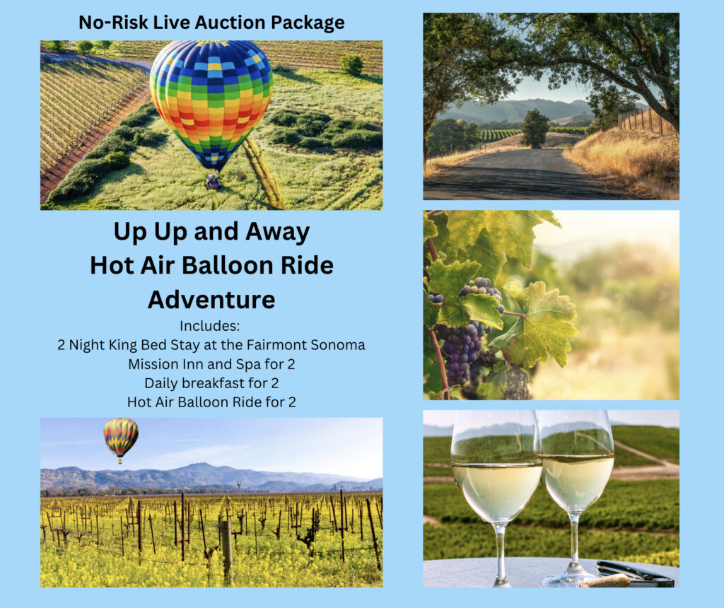 no-risk live auction package