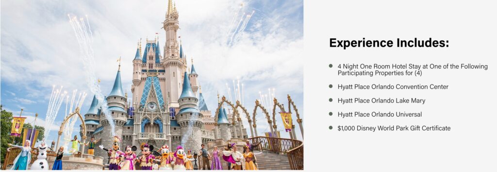 Dreaming Of Disney World Live Auction Package