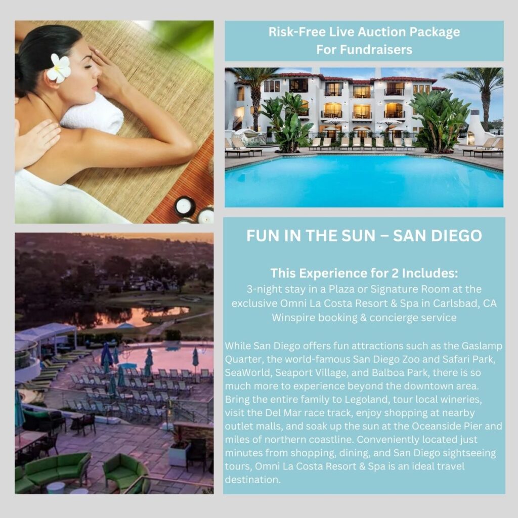 Fun in the Sun San Diego Live Auction Package
