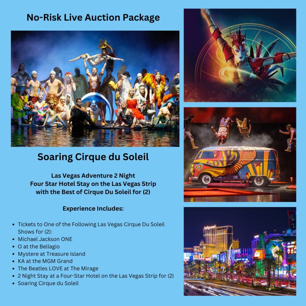 Circus Theme Live Auction Packages