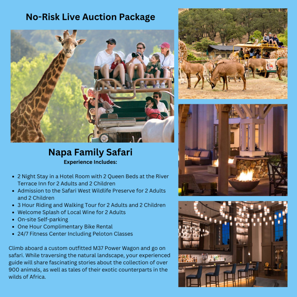 No risk live auction travel packages