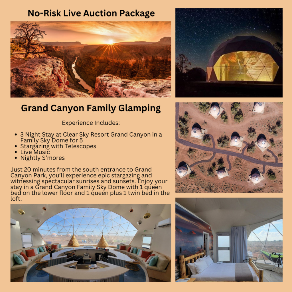 No risk live auction travel packages