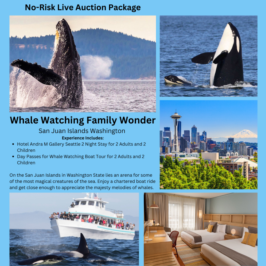 No risk live auction travel packages