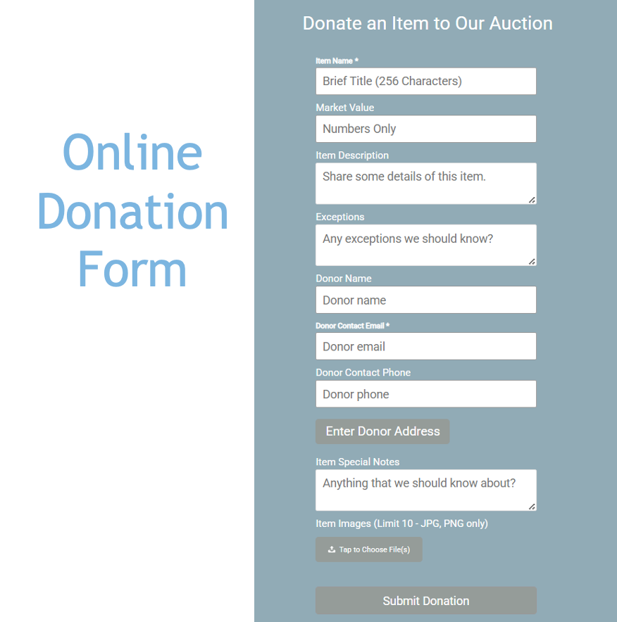 A screenshot of a online donation form.
