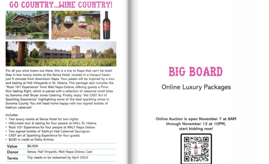 A online luxury fundraiser package